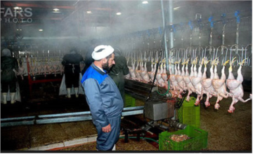 تکذیب خبر ذبح غیر شرعی